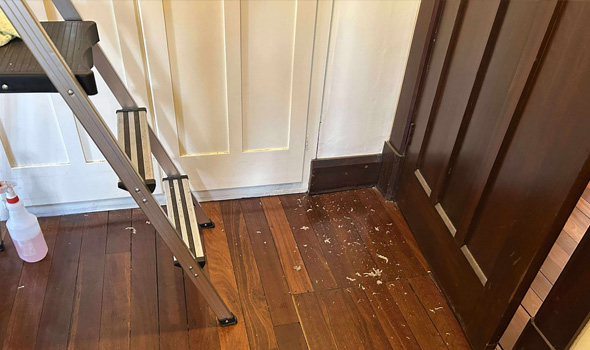 CCS Salucci Cleaning Services